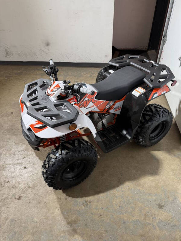 2026 Kayo Predator 110