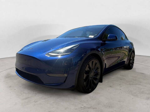 2023 Tesla Model Y Performance Photo