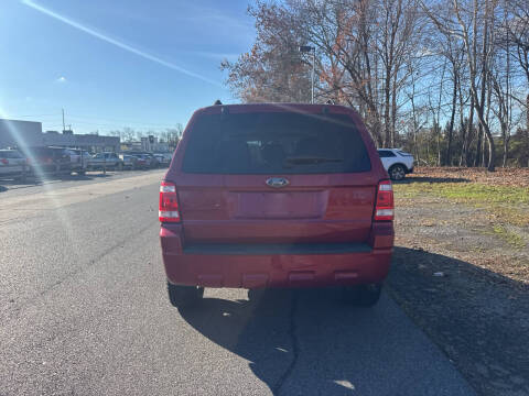 2009 Ford Escape XLT