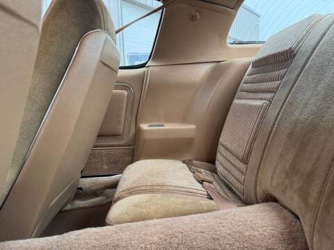 1981 Pontiac Firebird Trans Am