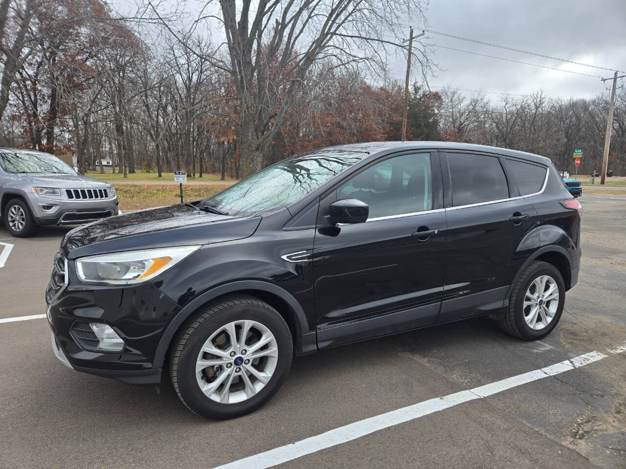 2017 Ford Escape for sale at Dedicated Auto Sales Inc in Elk River, MN