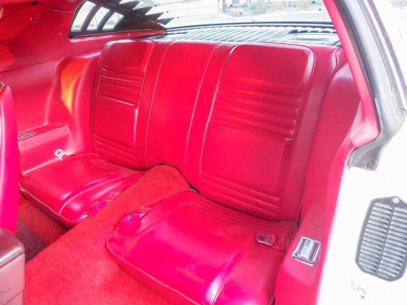 1981 Pontiac Firebird Trans Am