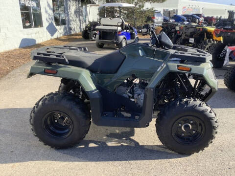 2019 Arctic Cat Alterra 300