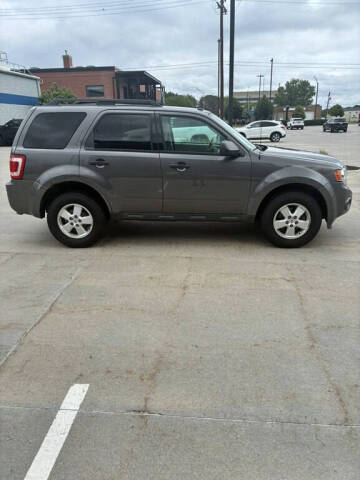 2011 Ford Escape XLT