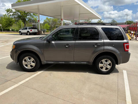 2011 Ford Escape XLT