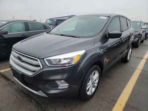 2019 Ford Escape for sale at Schwieters Ford of Montevideo in Montevideo MN