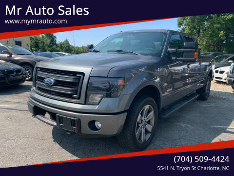 2013 Ford F-150 for sale at Mr Auto Sales in Charlotte NC