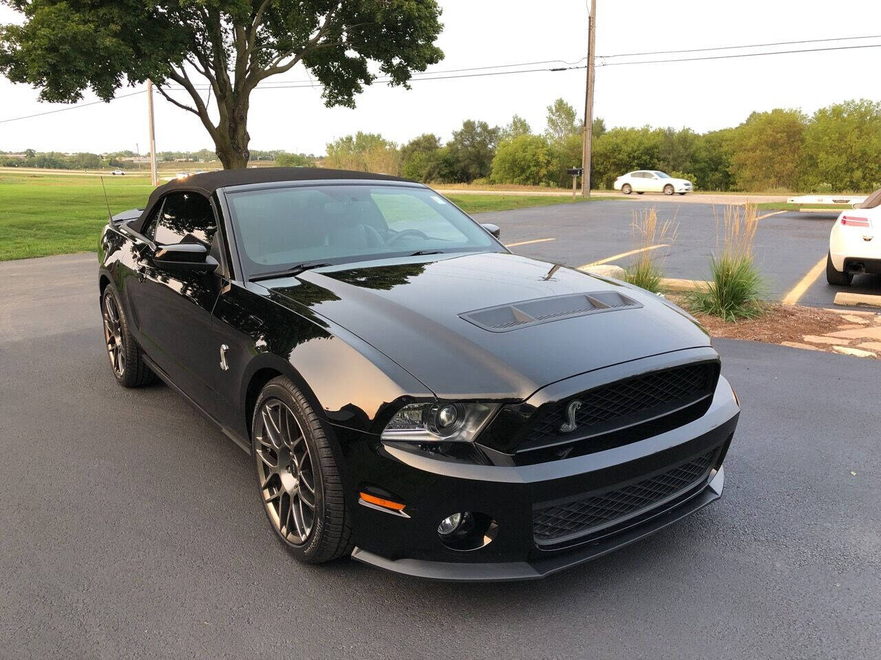 2011 Ford Mustang Shelby GT500 Convertible RWD for Sale in