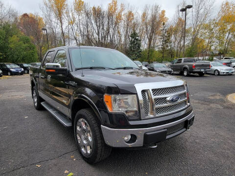 2012 Ford F-150 for sale at Fleet Automotive LLC in Maplewood MN