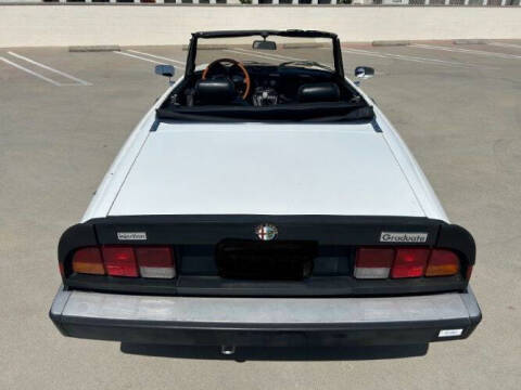 1985 Alfa Romeo Graduate Spider