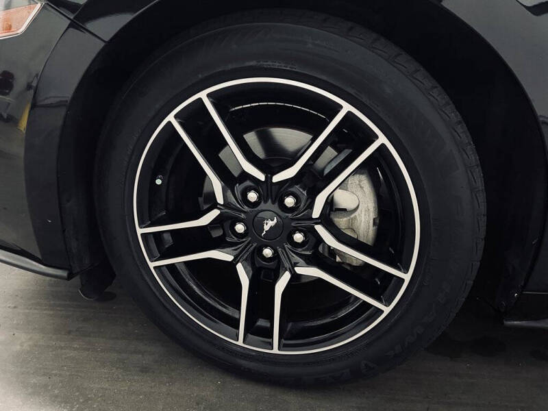 2019 Ford Mustang