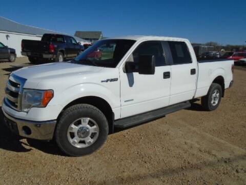 2014 Ford F-150 for sale at SWENSON MOTORS in Gaylord MN