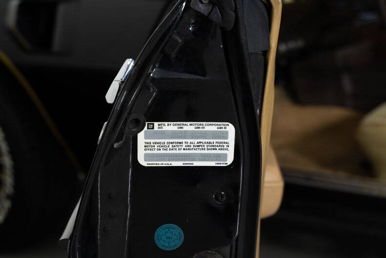 1981 Pontiac Trans Am