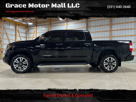 2019 Toyota Tundra for sale at Grace Motor Mall LLC in Traverse City MI