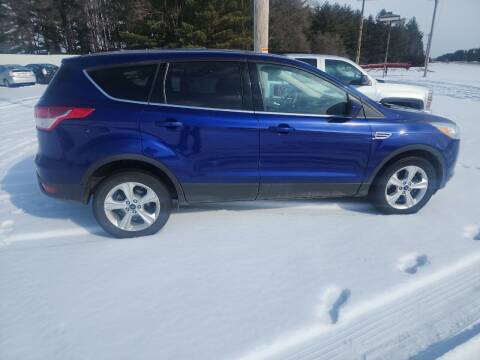 2014 Ford Escape for sale at SCENIC SALES LLC in Arena WI