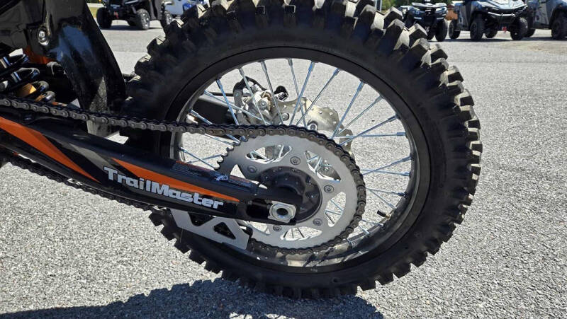 2024 TrailMaster TM38EX-300