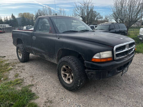 1997 Dodge Dakota for sale at Young Buck Automotive in Rexburg ID