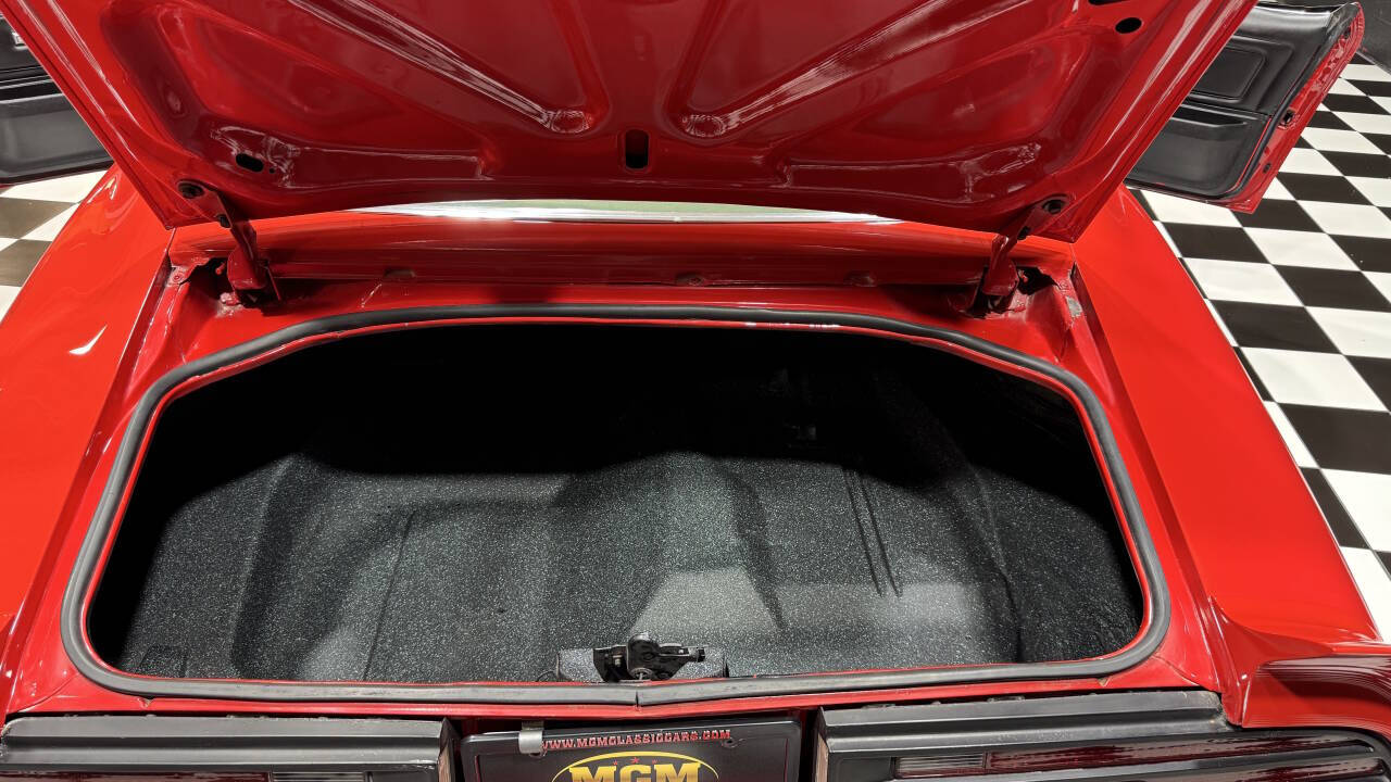 1977 Pontiac Firebird Trans Am 8