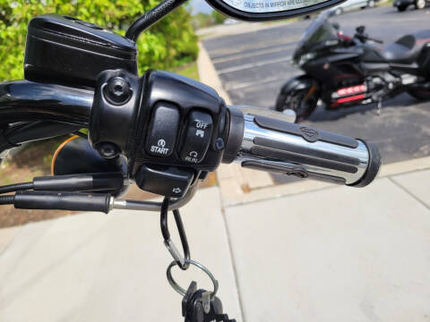 2009 Harley-Davidson FLSTSB - Cross Bones™