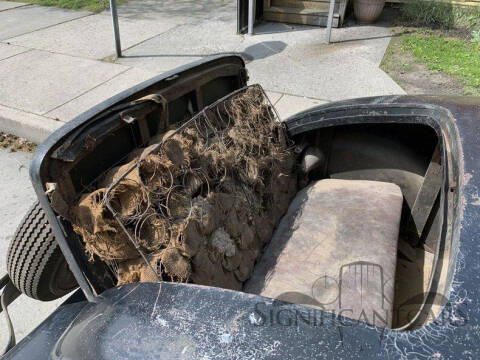 1934 Packard 8 Coupe Roadster