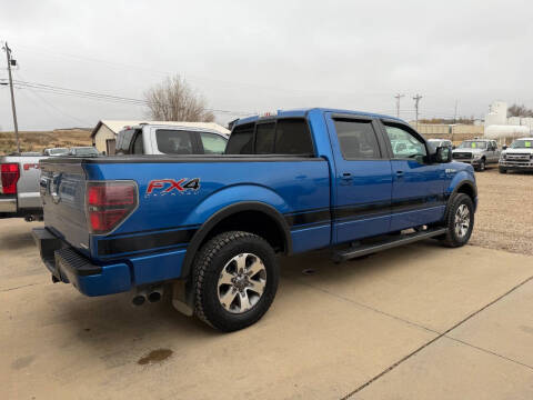 2014 Ford F-150 FX4