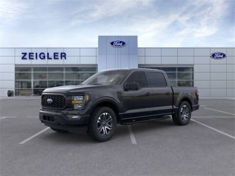 2023 Ford F-150 for sale at Zeigler Ford of Plainwell - Jeff Bishop in Plainwell MI