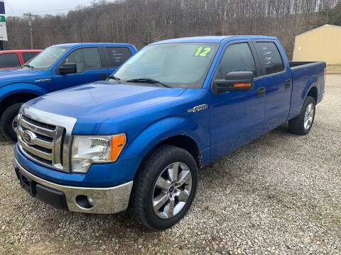 2012 Ford F-150 for sale at Court House Cars, LLC in Chillicothe OH