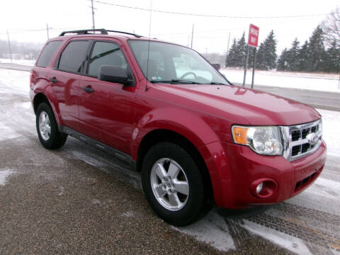 2010 Ford Escape XLT