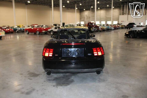 2003 Ford Mustang SVT Cobra