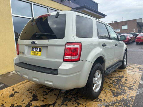 2009 Ford Escape XLT
