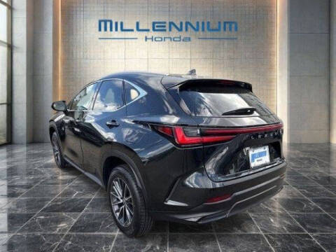 2023 Lexus NX 350 Premium