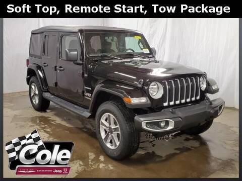 2022 Jeep Wrangler Unlimited for sale at COLE Automotive in Kalamazoo MI