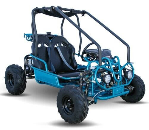 2020 125cc Go Kart - Automatic With Reverse W/Lights