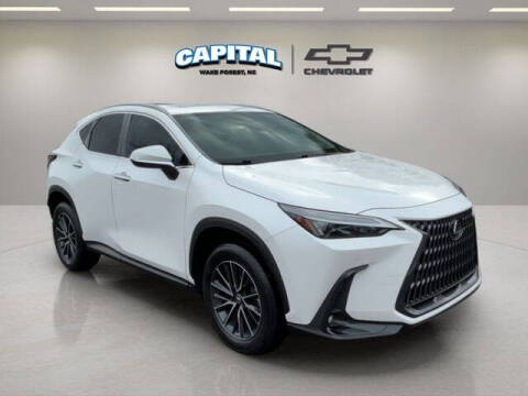 2024 Lexus NX 250 Premium