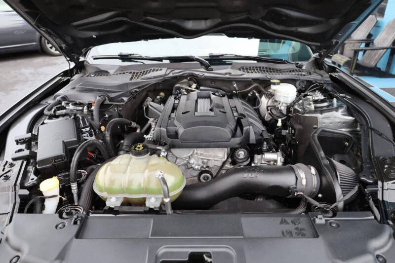2019 Ford Mustang