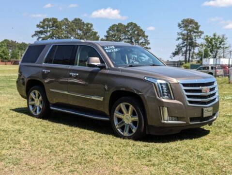 2015 Cadillac Escalade for sale at Best Used Cars Inc in Mount Olive NC