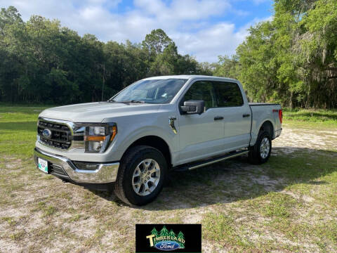 2023 Ford F-150 for sale at TIMBERLAND FORD in Perry FL