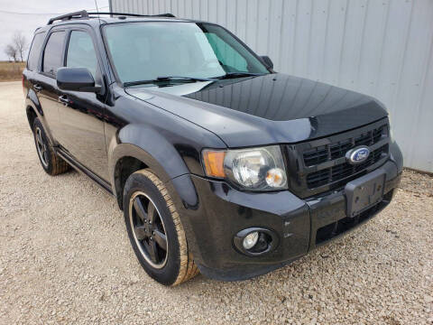 2012 Ford Escape XLT