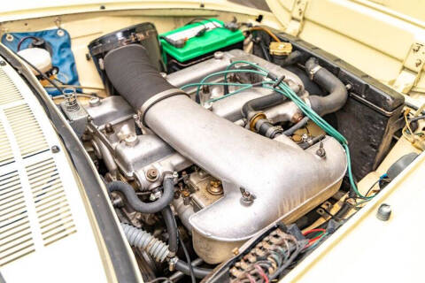 1967 Alfa Romeo Spider