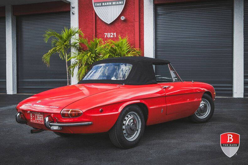 1969 Alfa Romeo Spider
