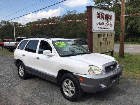 2004 Hyundai Santa Fe for sale at Stepps Auto Sales in Shamokin PA