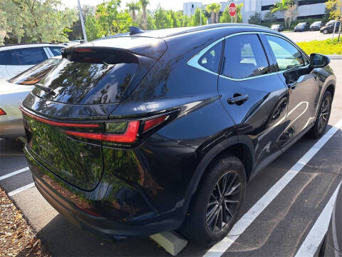 2023 Lexus NX 250