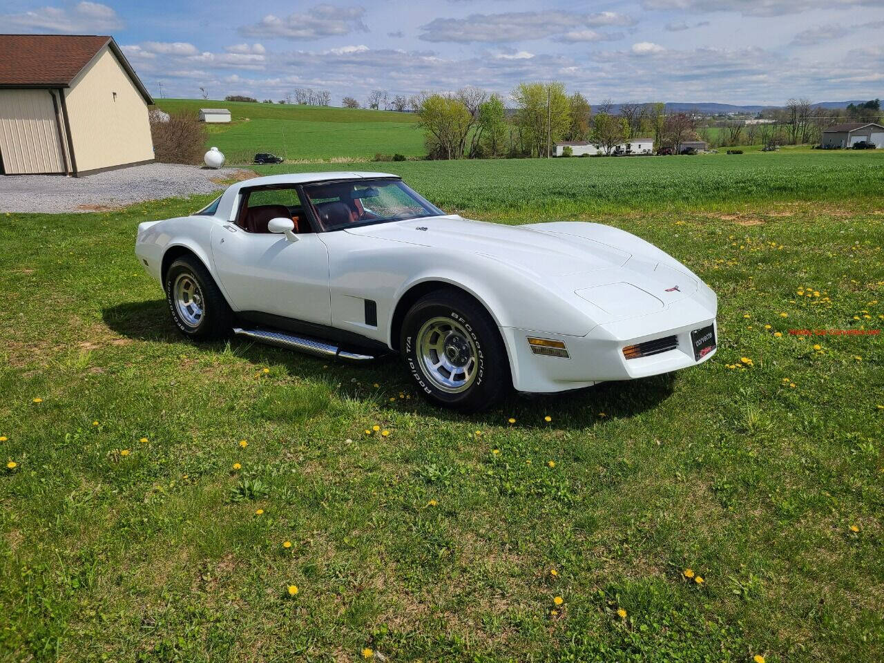 1981 Chevrolet Corvette 2