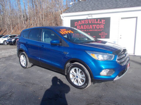 2017 Ford Escape for sale at Dansville Radiator in Dansville NY