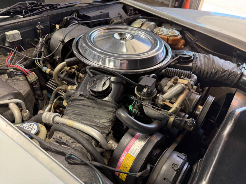 1981 Chevrolet Corvette