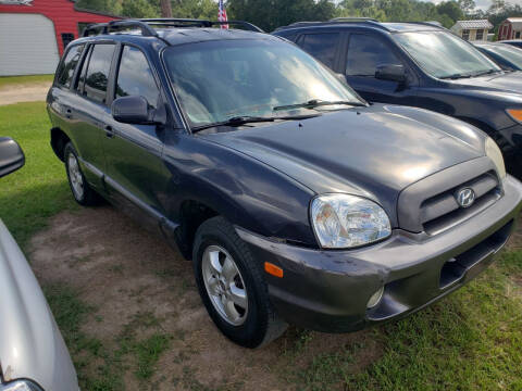 2006 Hyundai Santa Fe for sale at Albany Auto Center in Albany GA