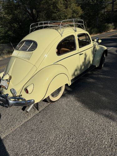 1955 Volkswagen Beetle