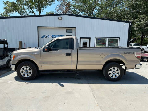 2011 Ford F-150 for sale at A & B AUTO SALES in Chillicothe MO
