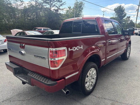 2013 Ford F-150 Platinum