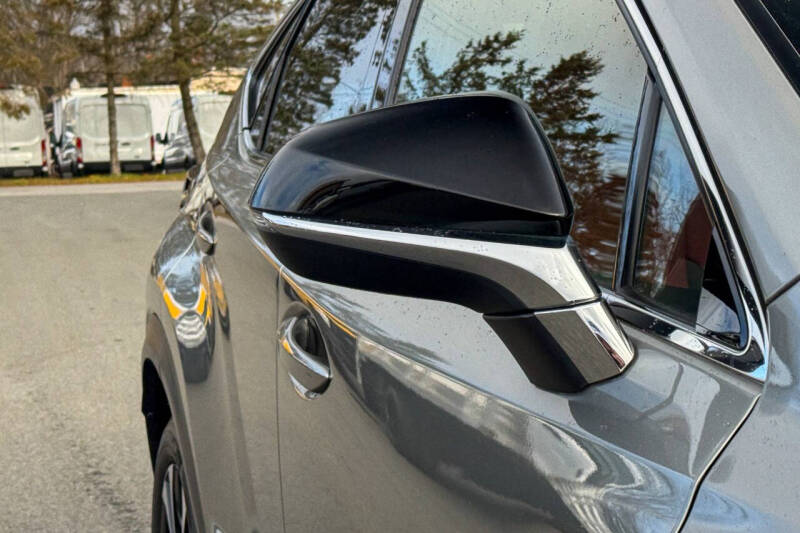 2020 Lexus NX 300 F SPORT